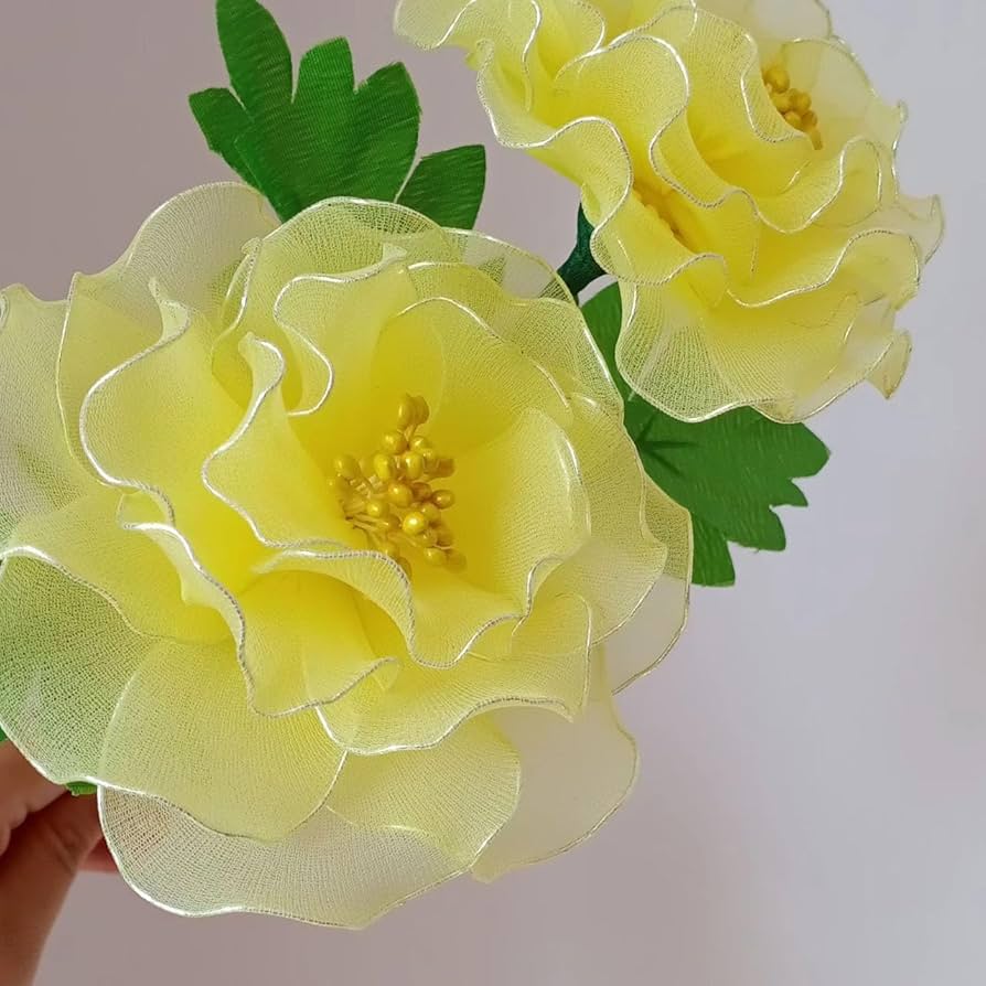 71p0X9B8+KL._UF894,1000_QL80_.jpg